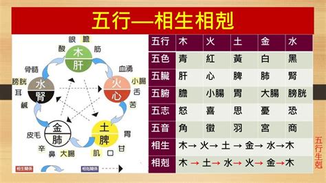 強金 強水|五行生剋關係解說